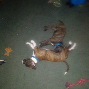 Meet your Posher, Rob